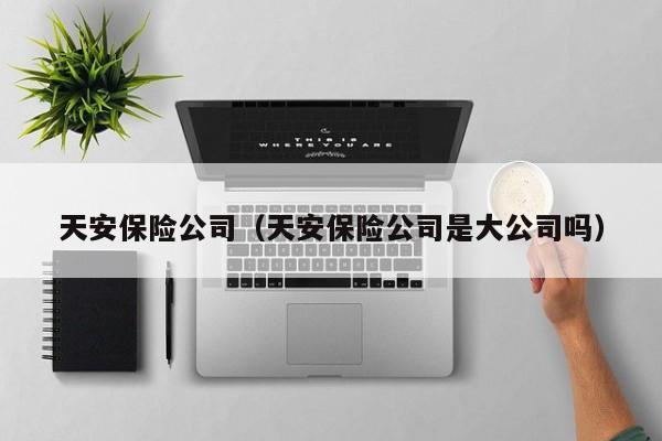 天安保险公司（天安保险公司是大公司吗）
