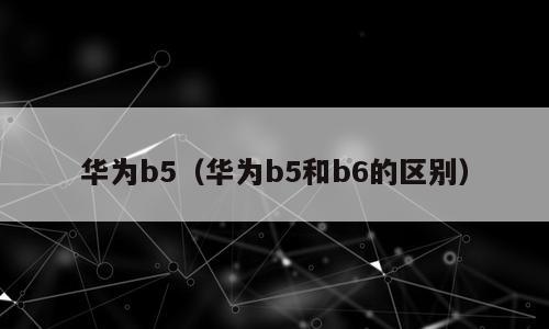 华为b5（华为b5和b6的区别）