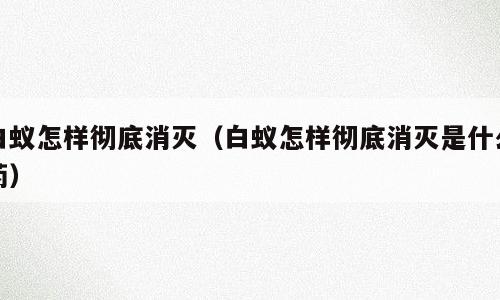 白蚁怎样彻底消灭（白蚁怎样彻底消灭是什么药）