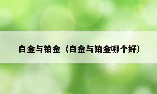 白金与铂金（白金与铂金哪个好）