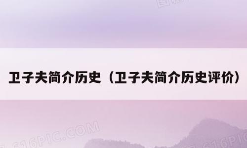 卫子夫简介历史（卫子夫简介历史评价）