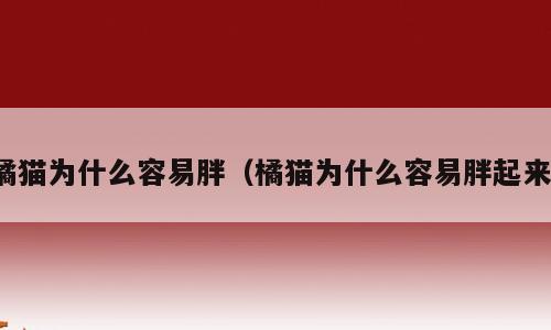 橘猫为什么容易胖（橘猫为什么容易胖起来）