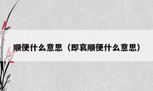 顺便什么意思（即哀顺便什么意思）
