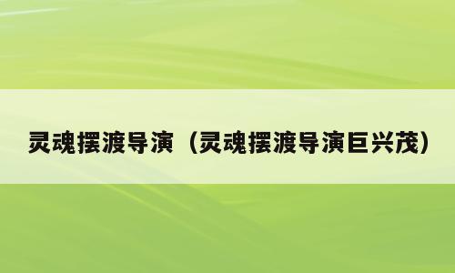 灵魂摆渡导演（灵魂摆渡导演巨兴茂）