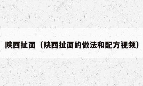 陕西扯面（陕西扯面的做法和配方视频）