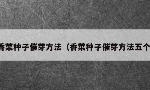 香菜种子催芽方法（香菜种子催芽方法五个）