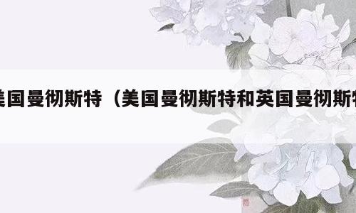 美国曼彻斯特（美国曼彻斯特和英国曼彻斯特）