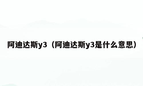 阿迪达斯y3（阿迪达斯y3是什么意思）