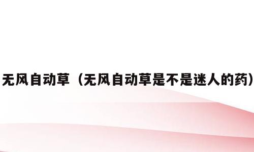 无风自动草（无风自动草是不是迷人的药）