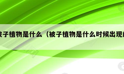 被子植物是什么（被子植物是什么时候出现的）