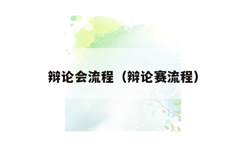 辩论会流程（辩论赛流程）