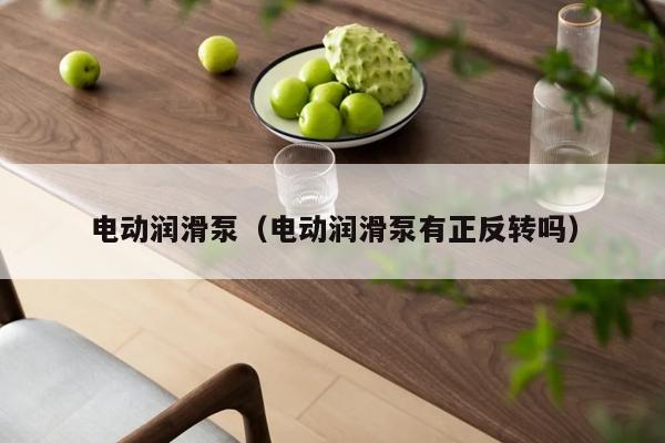 电动润滑泵（电动润滑泵有正反转吗）