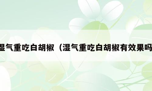 湿气重吃白胡椒（湿气重吃白胡椒有效果吗）