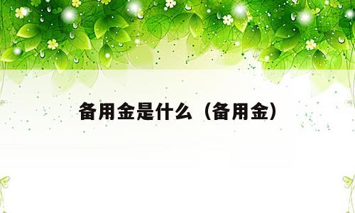 备用金是什么（备用金）