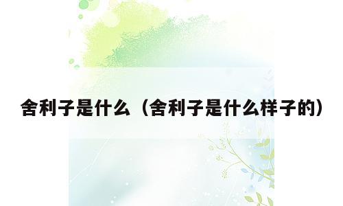 舍利子是什么（舍利子是什么样子的）