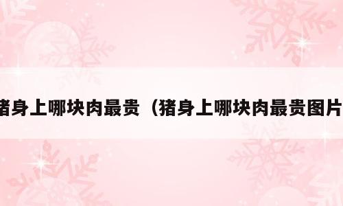 猪身上哪块肉最贵（猪身上哪块肉最贵图片）