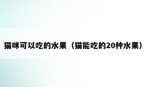 猫咪可以吃的水果（猫能吃的20种水果）
