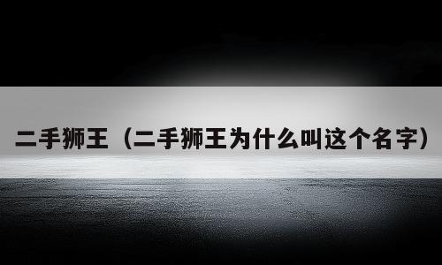 二手狮王（二手狮王为什么叫这个名字）