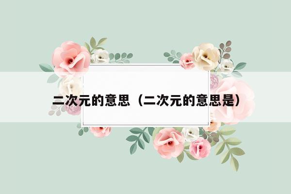 二次元的意思（二次元的意思是）