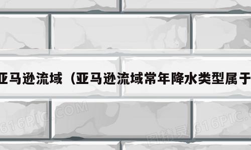 亚马逊流域（亚马逊流域常年降水类型属于）