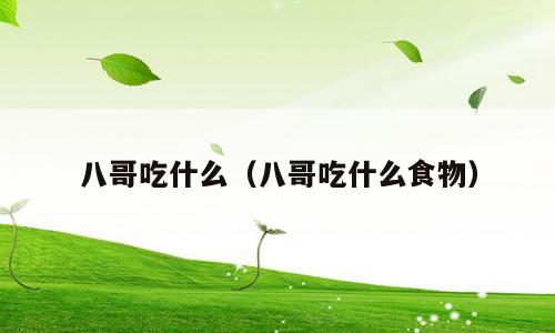 八哥吃什么（八哥吃什么食物）