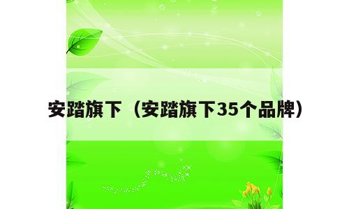 安踏旗下（安踏旗下35个品牌）