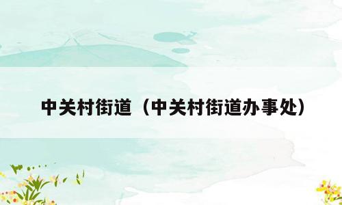 中关村街道（中关村街道办事处）
