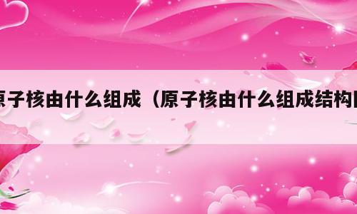 原子核由什么组成（原子核由什么组成结构图）