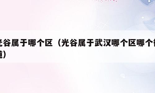 光谷属于哪个区（光谷属于武汉哪个区哪个街道）