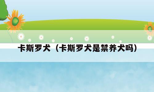 卡斯罗犬（卡斯罗犬是禁养犬吗）