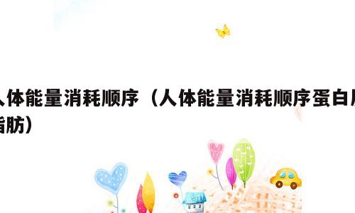 人体能量消耗顺序（人体能量消耗顺序蛋白质脂肪）