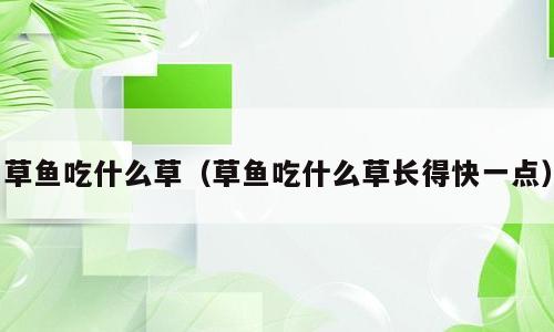 草鱼吃什么草（草鱼吃什么草长得快一点）