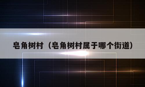 皂角树村（皂角树村属于哪个街道）
