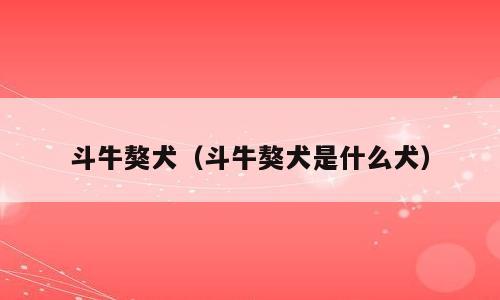 斗牛獒犬（斗牛獒犬是什么犬）