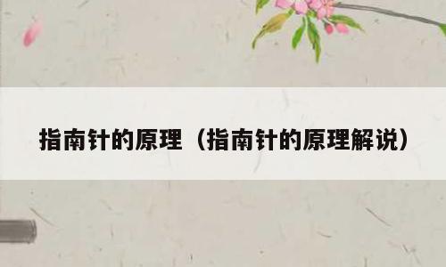 指南针的原理（指南针的原理解说）