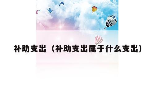 补助支出（补助支出属于什么支出）