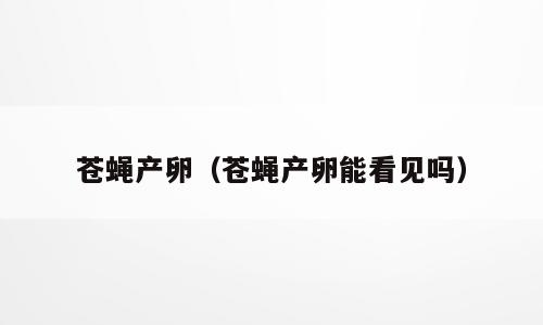 苍蝇产卵（苍蝇产卵能看见吗）