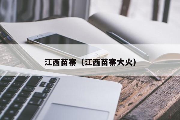 江西苗寨（江西苗寨大火）