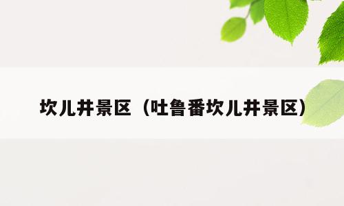 坎儿井景区（吐鲁番坎儿井景区）