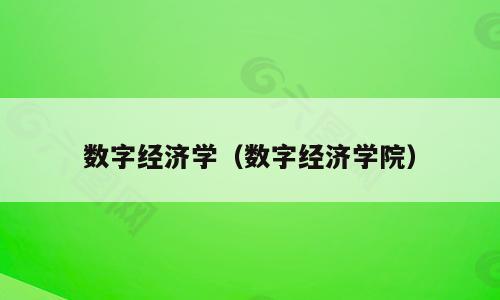 数字经济学（数字经济学院）