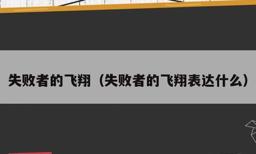失败者的飞翔（失败者的飞翔表达什么）