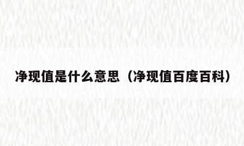 净现值是什么意思（净现值百度百科）