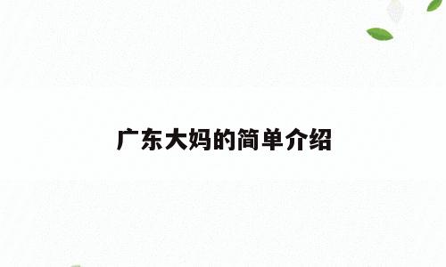 广东大妈的简单介绍