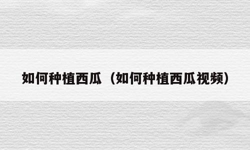 如何种植西瓜（如何种植西瓜视频）