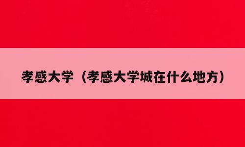 孝感大学（孝感大学城在什么地方）