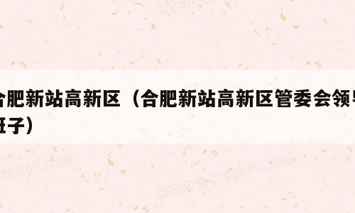 合肥新站高新区（合肥新站高新区管委会领导班子）