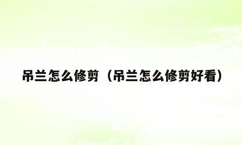 吊兰怎么修剪（吊兰怎么修剪好看）
