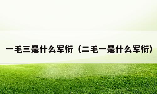 一毛三是什么军衔（二毛一是什么军衔）