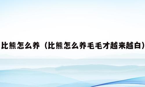 比熊怎么养（比熊怎么养毛毛才越来越白）