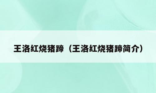 王洛红烧猪蹄（王洛红烧猪蹄简介）